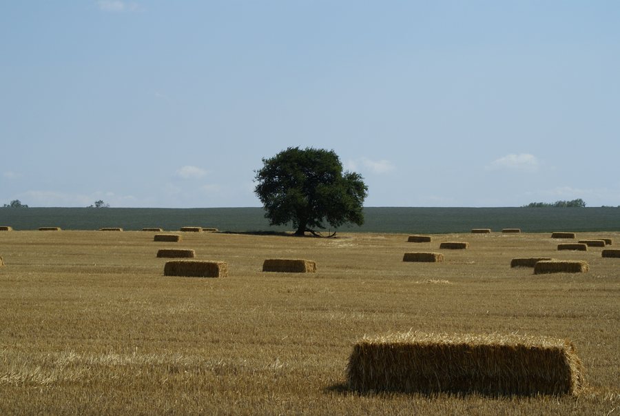 File:Slovakia - Horne Oresany - Fields.JPG