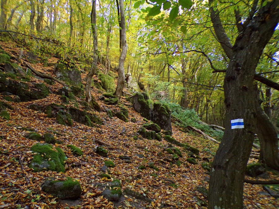 File:Arka-patak völgye.jpg