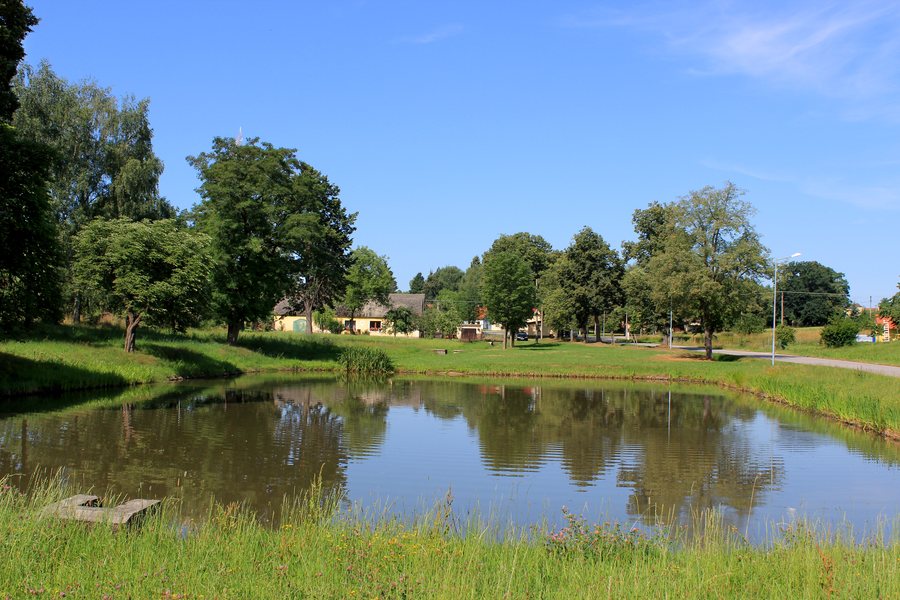 File:Jílovice, Lipnice, common pond.jpg