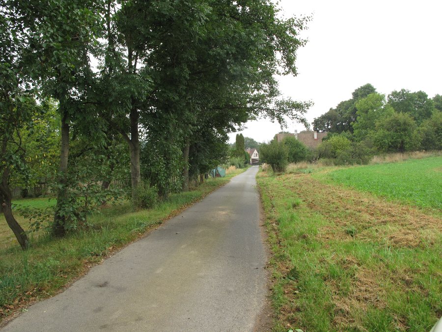 File:Jelenov (Čáslavsko), cesta.jpg