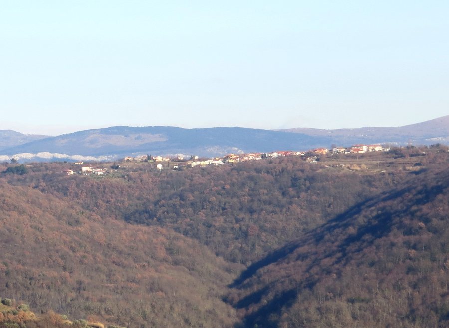File:Borst Koper Slovenia.jpg