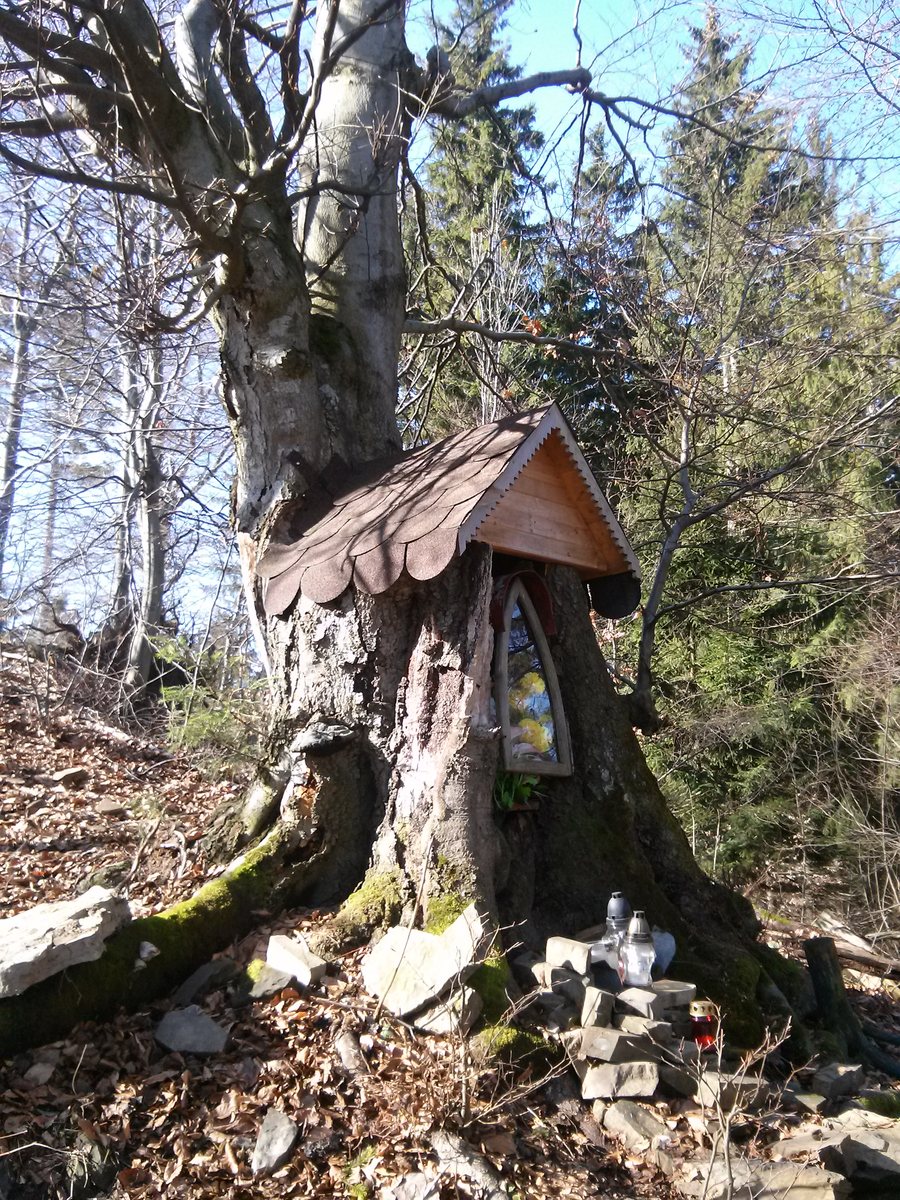 File:020 64 Zubák, Slovakia - panoramio.jpg