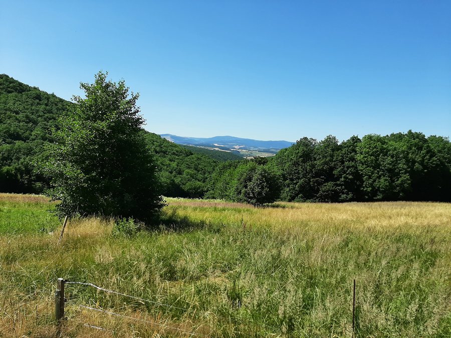 File:Maliniste Kalnica.jpg