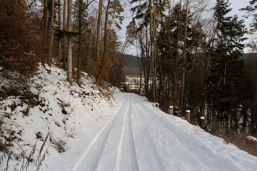 File:Forest road in the winter near Javůrek, Czechia.jpg