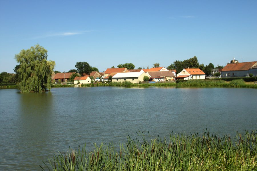 File:Čejetice, rybník.jpg
