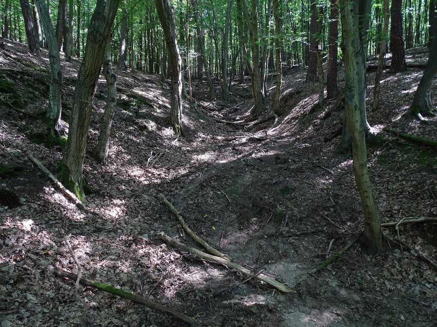 File:Olešná (Němčovice), nad Kaceřovským mlýnem (01).jpg
