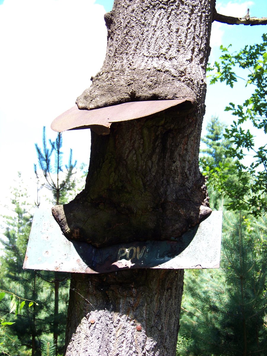 File:Ostřetín, zarostlé značky u střediska Radost.jpg