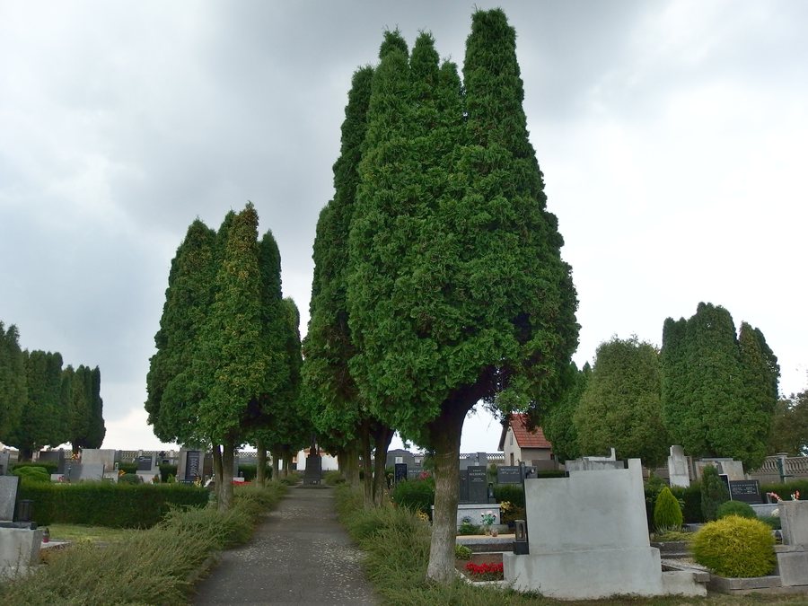 File:Malhotice, hřbitov.JPG