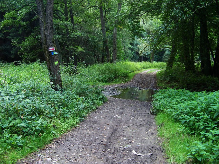 File:Krakovec, Šípský potok, 3. brod.jpg