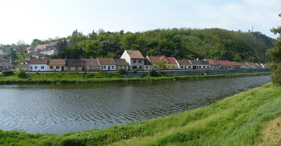 File:Dolní Kounice, řeka Jihlava.JPG