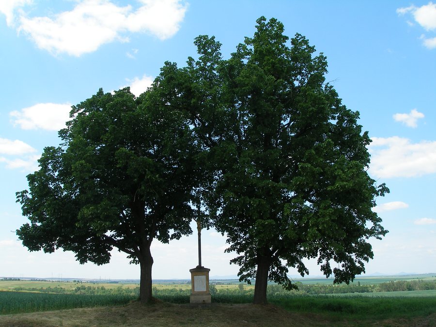 File:Hobšovice, Boží muka (1).jpg