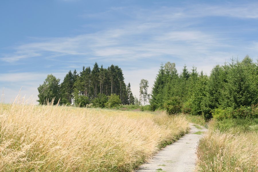 File:Doupě - panoramio.jpg