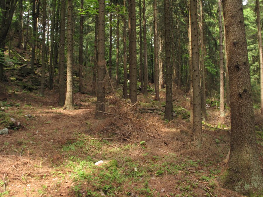 File:Na Skalce (Hojkov) (002).jpg