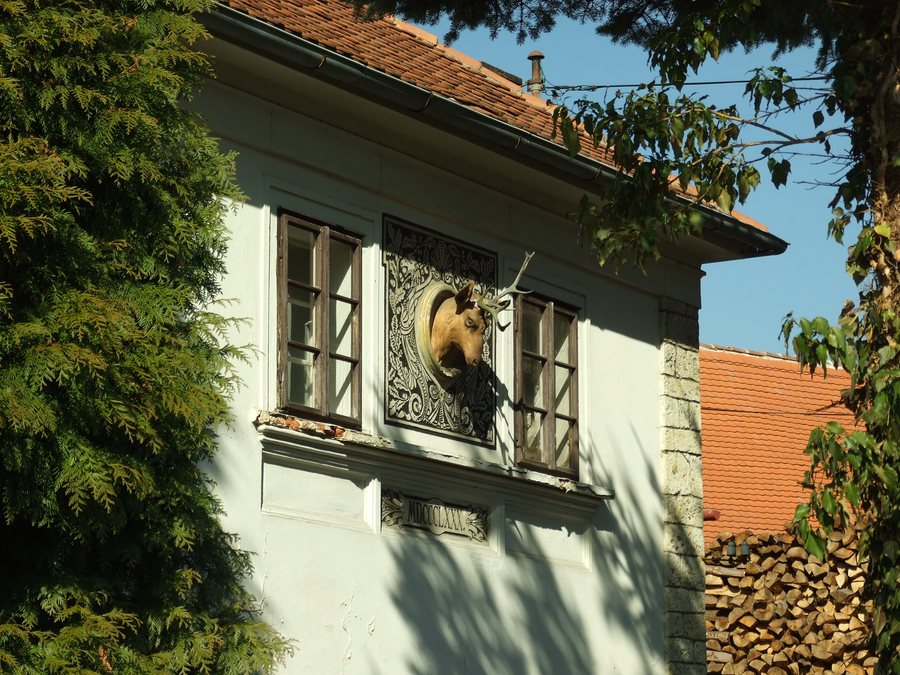 File:Třeboc, hlava jelena.JPG