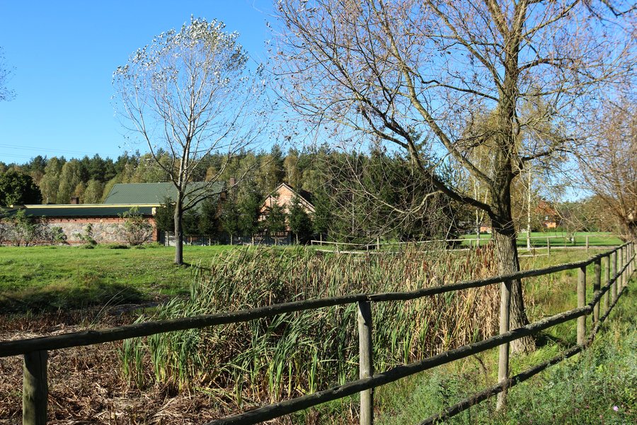 File:20141019 bg buczyna-adj.jpg