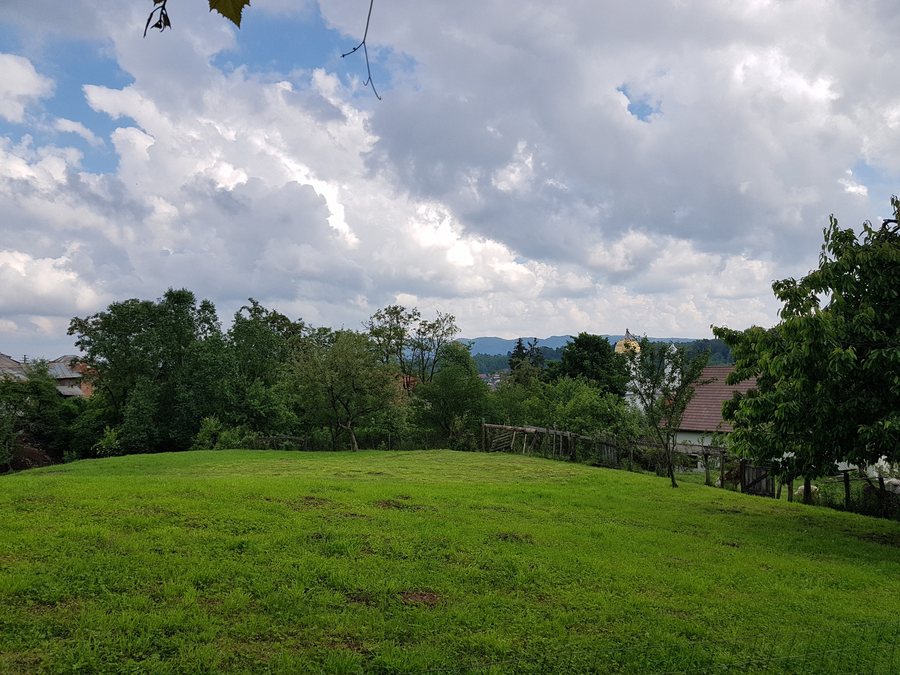 File:Vaideeni 2019 (4).jpg