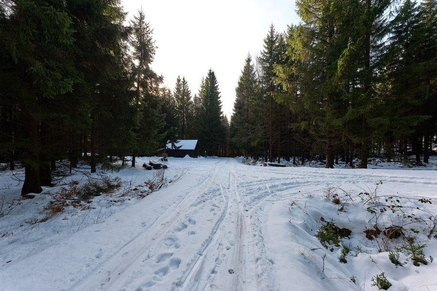 File:Forest in Oldřichov v Hájích CHKO Jizerské hory 2025-11-30 01.jpg