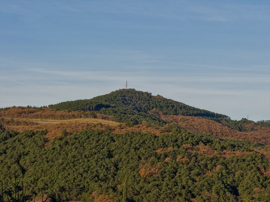 File:Tinjan, view from Gabrovica.jpg