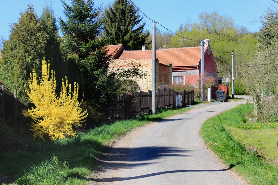 File:Třebovle, Království west part 1.jpg