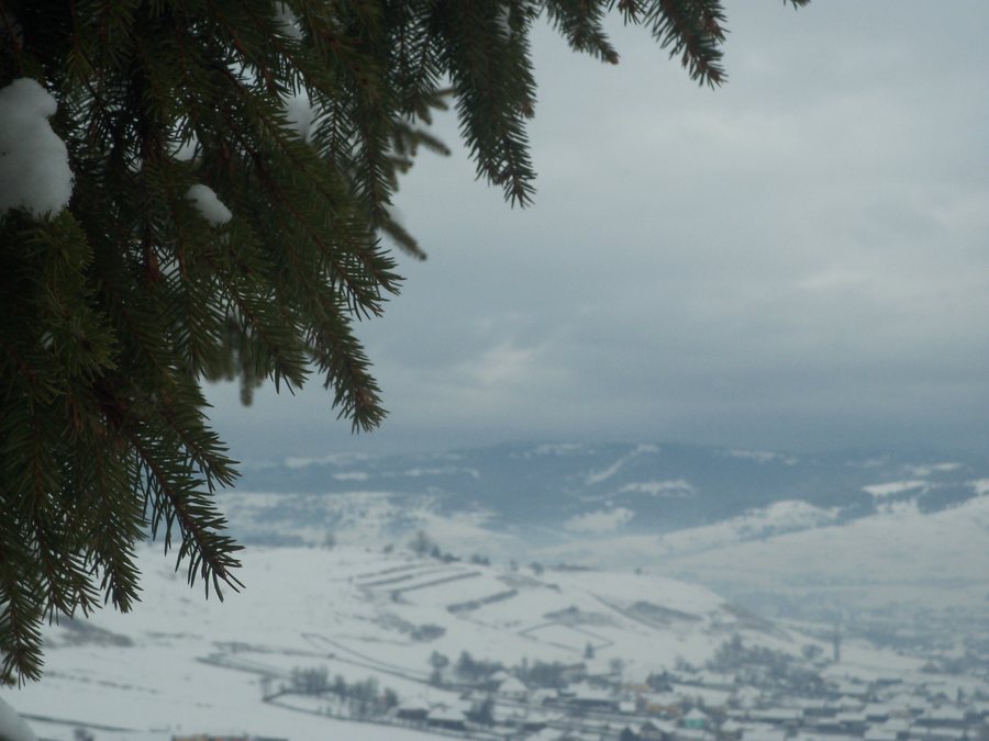 File:Subcetate, Romania - panoramio (1).jpg