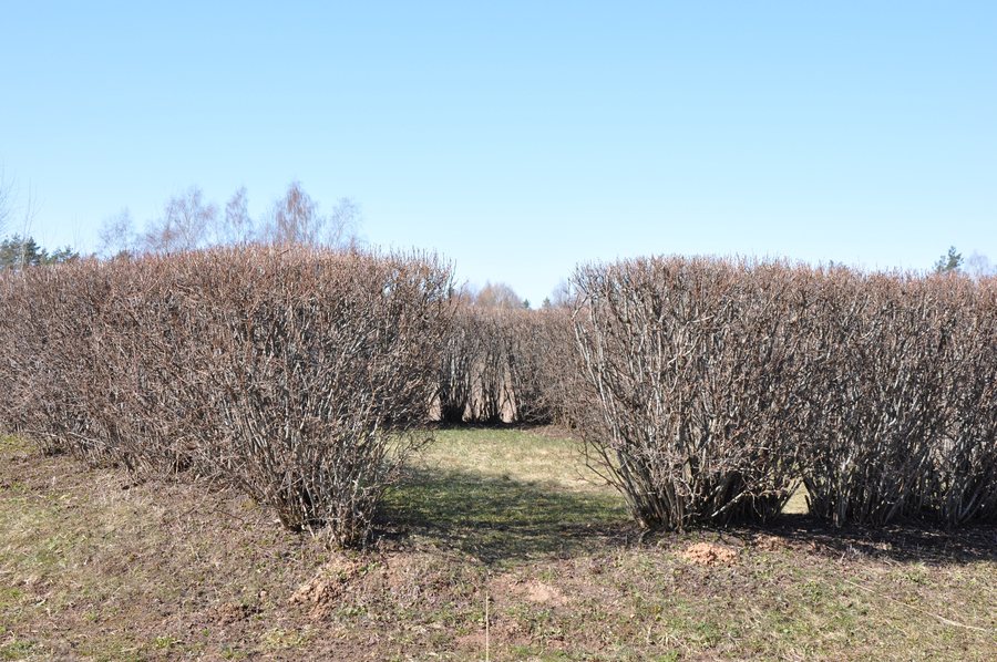 File: