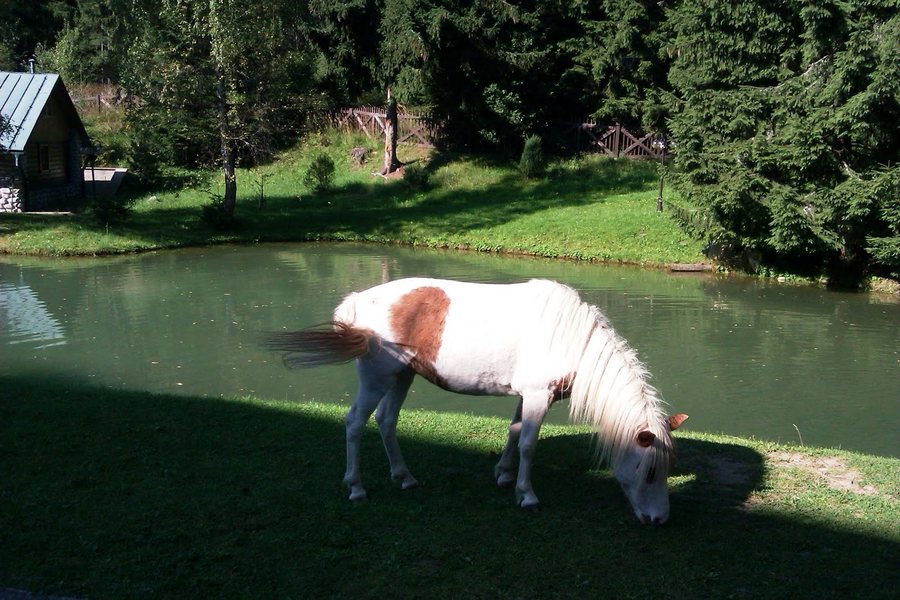 File:033 01 Jamník, Slovakia - panoramio (1).jpg