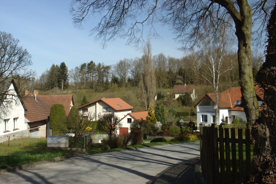 File:Dubovice, cesta II.jpg