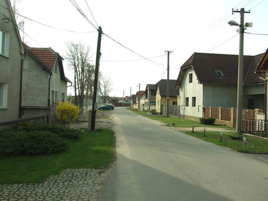 File:Velký Borek, cesta.JPG