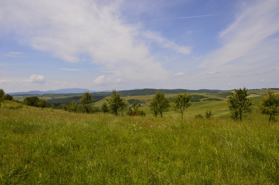 File:Bátor, TSZ - panoramio.jpg