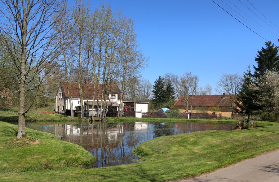 File:Černošín, Lažany, common pond.jpg