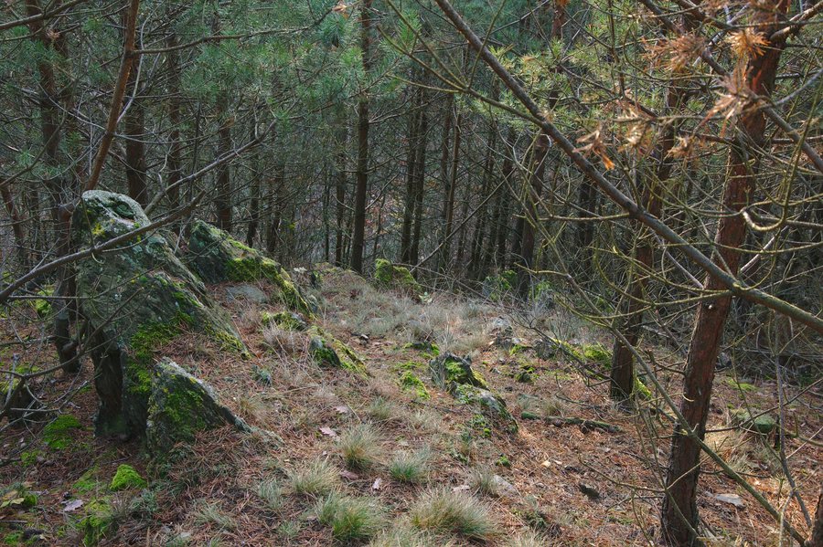 File:Hradiště Drahanovice (02).jpg