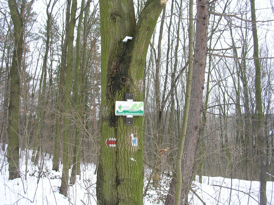 File:Tuchoraz, rozcestník u tvrze.jpg