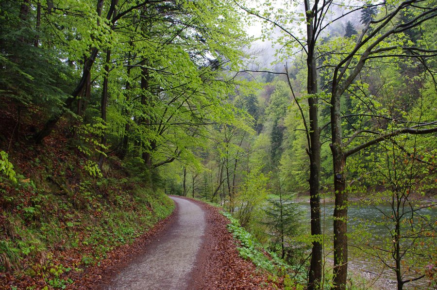 File:065 33 Lesnica, Slovakia - panoramio (1).jpg