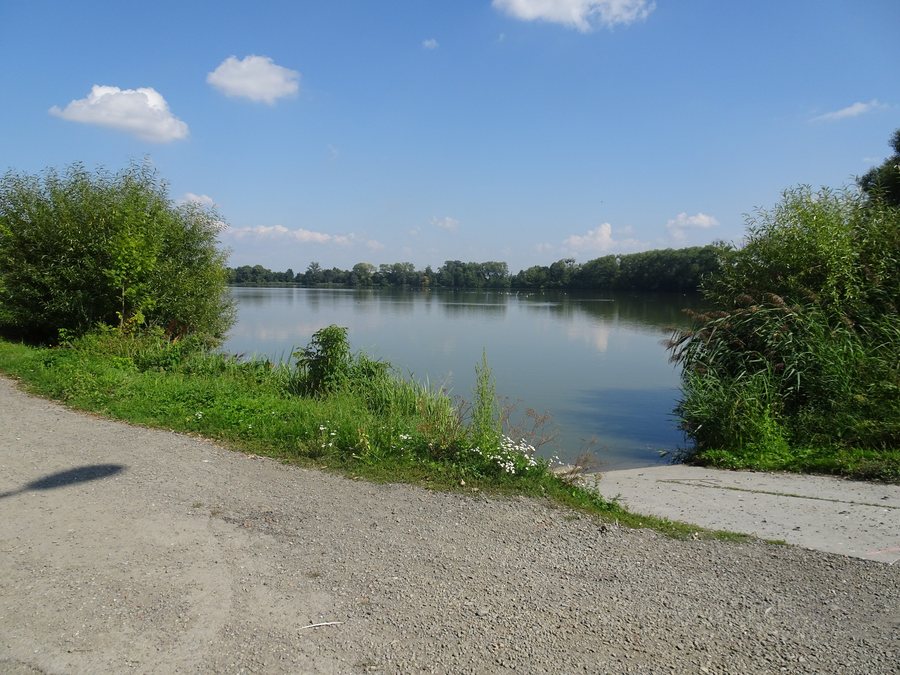 File:Tovačov, Hradecký rybník (5).jpg