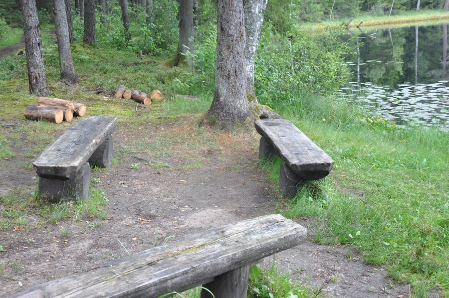 File:Atpūtas vieta pie Lejas ezera, Daugmales pagasts, Ķekavas novads, Latvia - panoramio.jpg