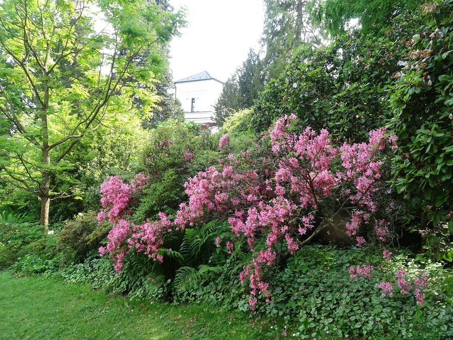 File:Nový Dvůr (Stěbořice), arboretum (06).jpg