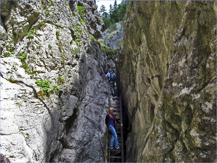 File:Prosiek - po rebríkoch - panoramio.jpg