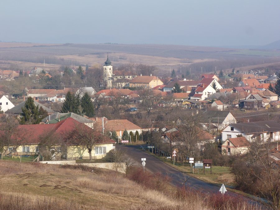 Novaj - 2015.01.14 (1)