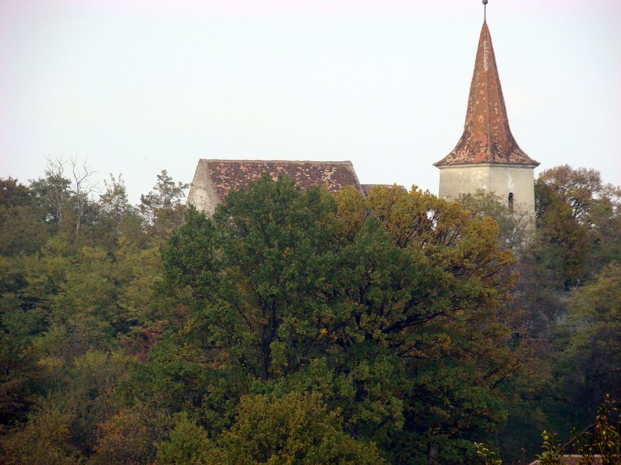 File:Daia 2008 (2).jpg