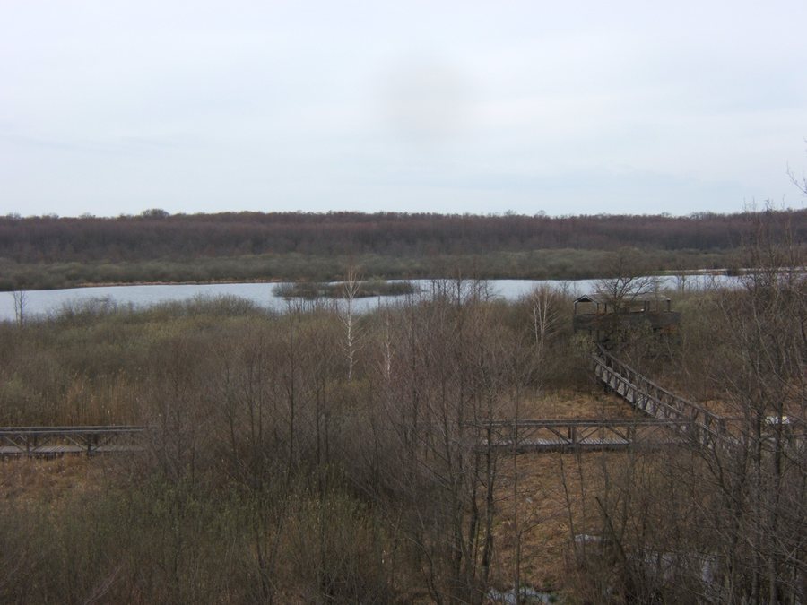 File:Kaszó, Baláta-tó 01.jpg
