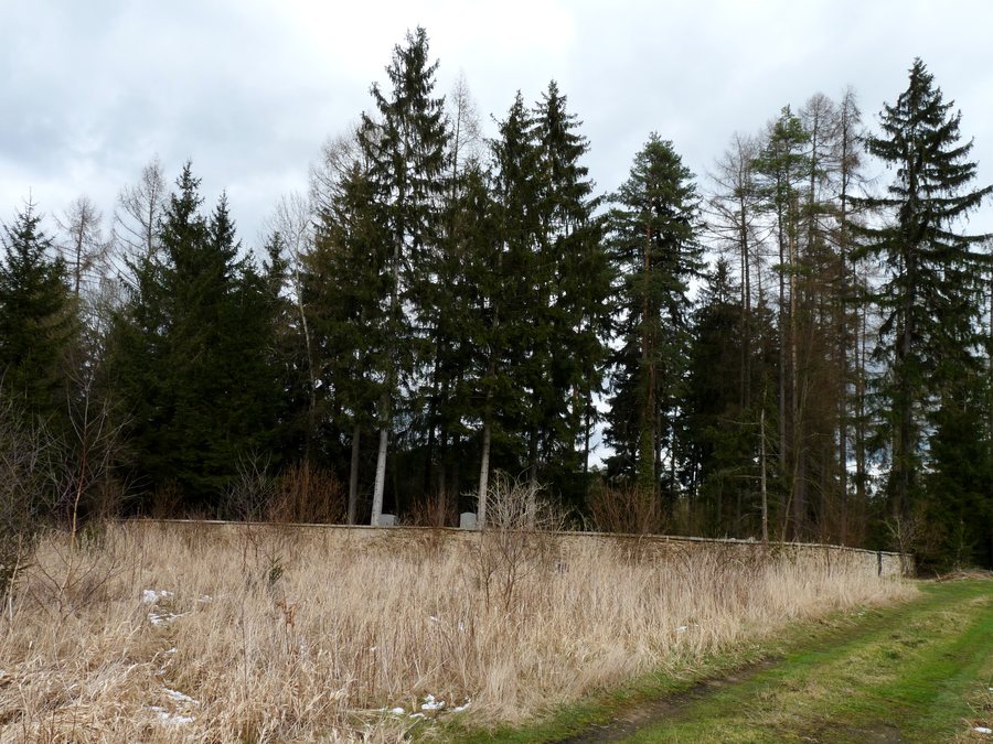 File:Jewish cemetery in Košetice (01).jpg