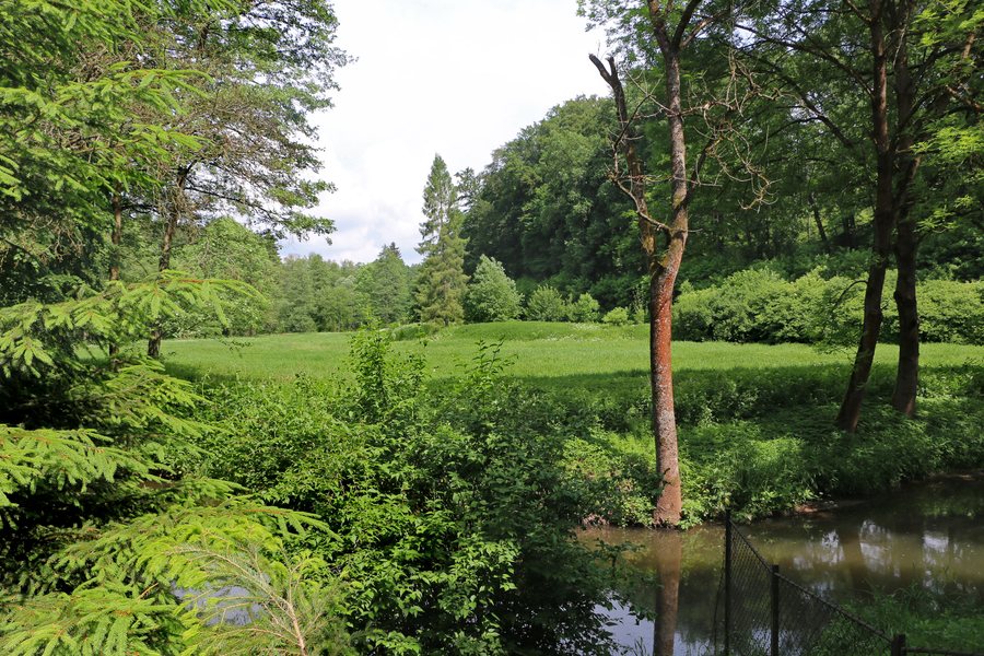 File:Holovousy, Dolní Mezihoří, Javorka river 2.jpg