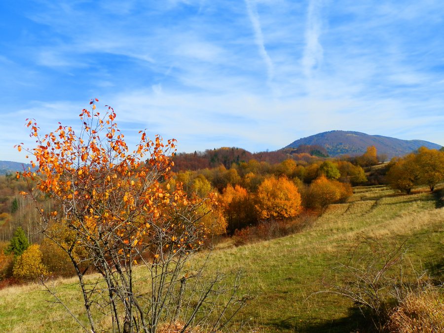 File:013 06 Terchová, Slovakia - panoramio.jpg