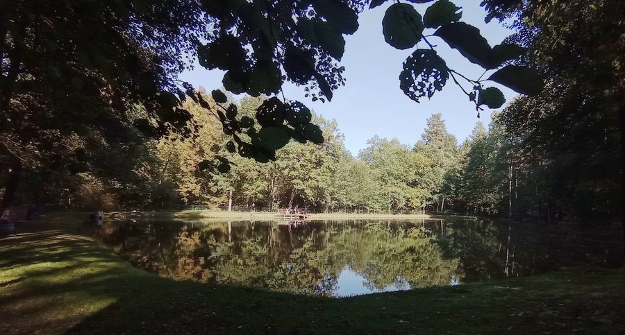 File:Trhové Sviny, pond north 01.jpg