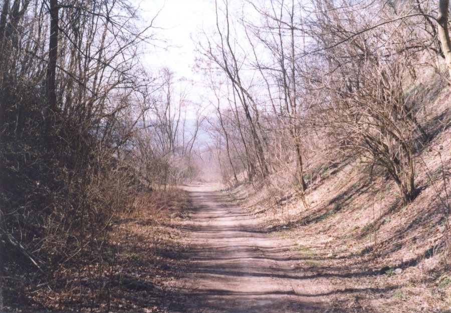 File:Chudčice, zářez na trati Kuřim - Veverská Bítýška (02).jpg