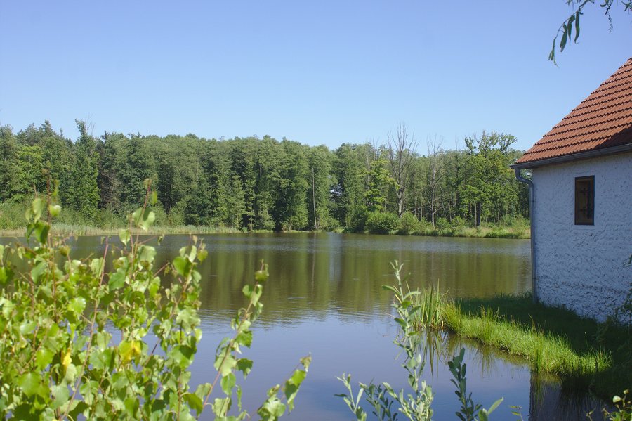 File:Pístina, Herinkovský rybník.jpg