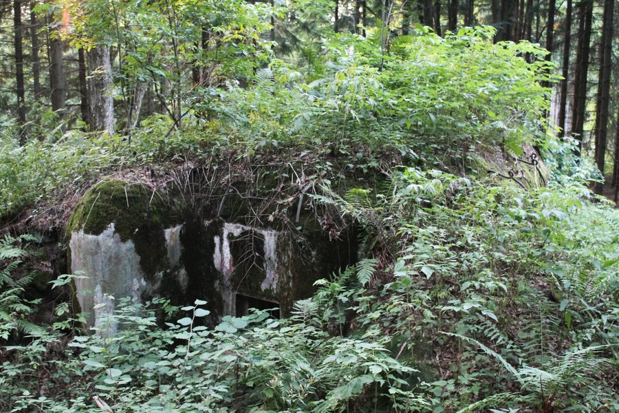 File:Nezdice na Šumavě, Ždánov, LO vz. 37 H-40-1-A-140 (2013-08-15; 01).jpg
