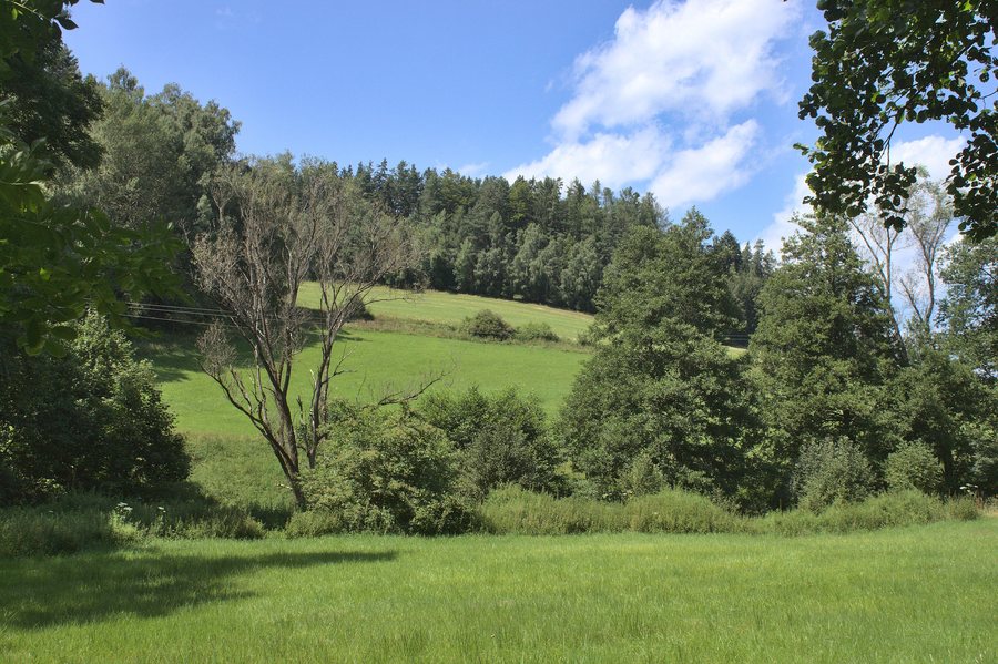 File:Lachovice, louky a stromy.jpg