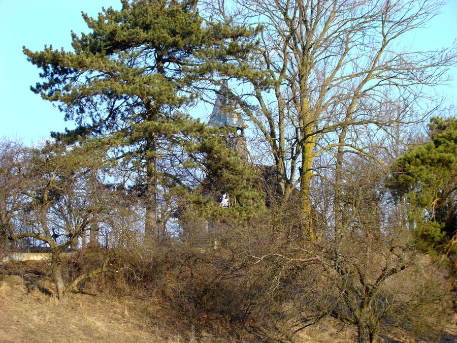 File:Biserica de lemn din Săliștea Veche (1).jpg