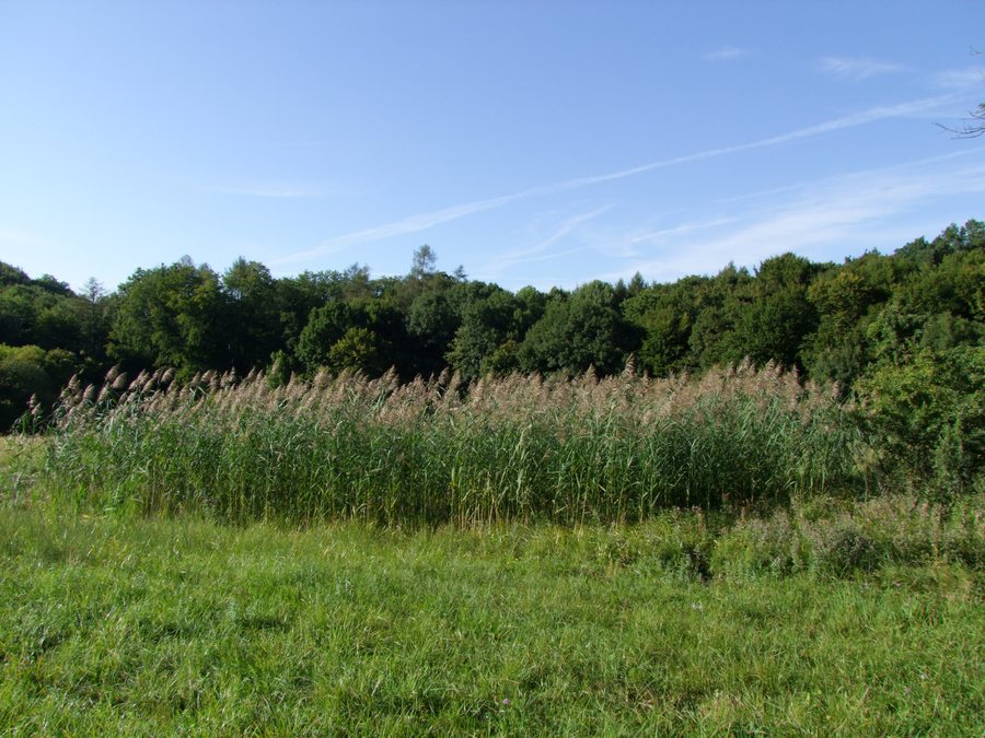 File:913 38 Soblahov, Slovakia - panoramio (1).jpg